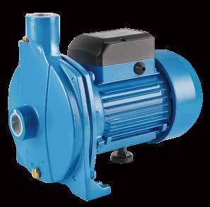 Centrifugal Pumps